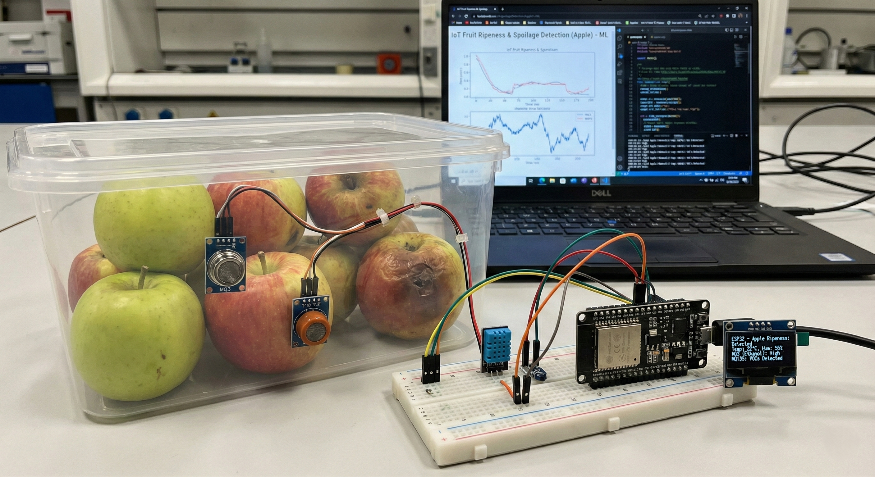 Apple Spoilage Detection